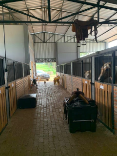 MULTIBOX 350 PLUS - Multiplas Rotomoldagem - Indústria de plásticos Rotomoldados