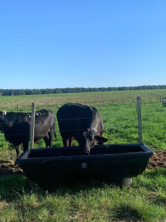 CONFINA COCHO - Multiplas Rotomoldagem - Indústria de plásticos Rotomoldados