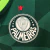 Palmeiras Home 2023/24 - Puma na internet
