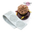Molde Deco Hojas 5cm | 5 cav.