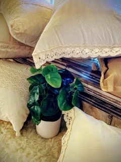 ALMOHADON CON PUNTILLA LATERAL - El Almacén de Totó® | #Inspirando Mujeres