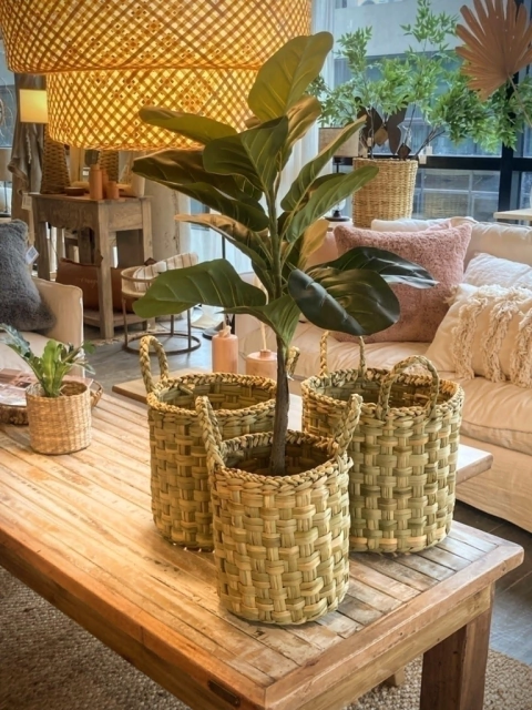 CANASTO / PORTAMACETA JUNCO MANIJAS