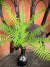 RAMA ARTIFICIAL HELECHO 50CM en internet