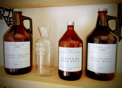 BOTELLA LAVANDINA - tienda online