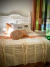 PIE CAMA/MANTA SILLON BOHO GDE en internet