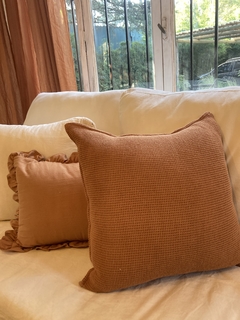 ALMOHADON TUSOR VOLADOS CHICO en internet