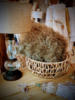 ALMOHADON PELO LARGO NEW en internet
