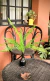 RAMA ARTIFICIAL HELECHO 50CM - comprar online