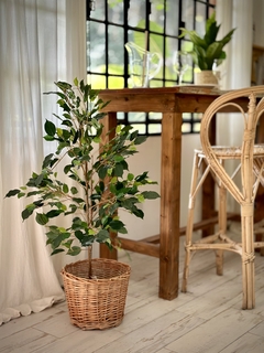 PLANTA ARTIFICIAL ARBOL FICUS CHICO