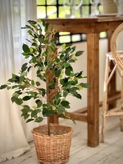 PLANTA ARTIFICIAL ARBOL FICUS CHICO - tienda online