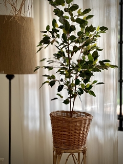 PLANTA ARTIFICIAL ARBOL FICUS CHICO - El Almacén de Totó® | #Inspirando Mujeres