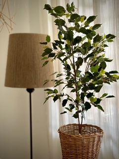 PLANTA ARTIFICIAL ARBOL FICUS CHICO - comprar online