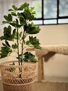 PLANTA ARTIFICIAL SCHEFFLERA