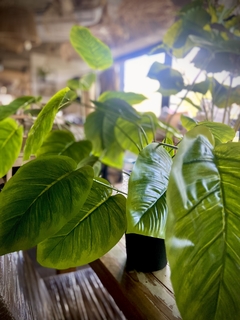PLANTA ARTIFICIAL APPLE 18 HOJAS
