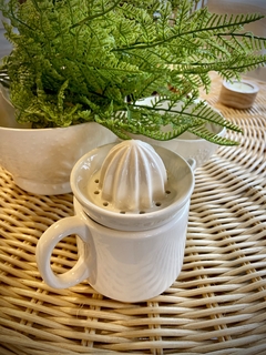 EXPRIMIDOR DE CERAMICA