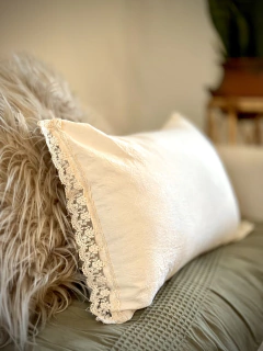 ALMOHADON CON PUNTILLA LATERAL en internet