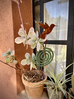 PORTA ESPIRAL COLIBRI - comprar online