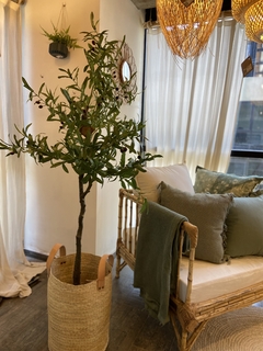 PLANTA ARTIFICIAL OLIVO 170CM
