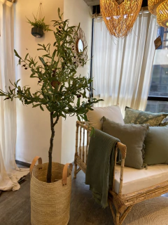 PLANTA ARTIFICIAL OLIVO 170CM