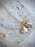 Imagen de COLLAR NICANOR