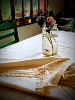 MANTEL TUSSOR PUNTILLA - tienda online