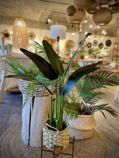 PLANTA ARTIFICIAL BANANO