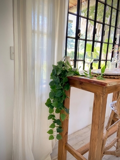 Imagen de PLANTA ARTIFICIAL CAIDA DE HIEDRA / POTUS