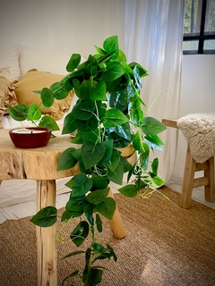PLANTA ARTIFICIAL CAIDA DE HIEDRA / POTUS
