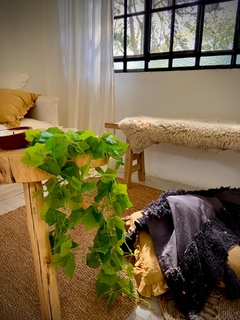 PLANTA ARTIFICIAL CAIDA DE HIEDRA / POTUS - El Almacén de Totó® | #Inspirando Mujeres