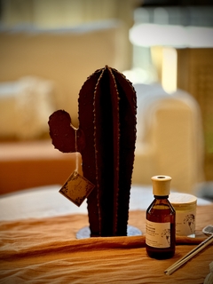 CACTUS DECO - comprar online
