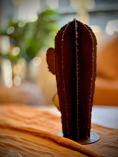 CACTUS DECO en internet