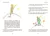 Le Petit Prince ( El Principito En Frances). Saint Exupery - comprar online