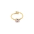 Anillo Blingy Acero Regulable