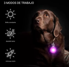 LUZ LED PARA COLLAR - comprar online