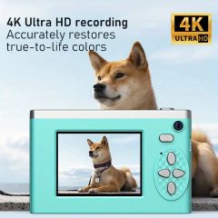 CAMARA DE FOTO VINTANGE - Chucheriaslp