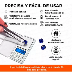 BALANZA DE PRECISION en internet