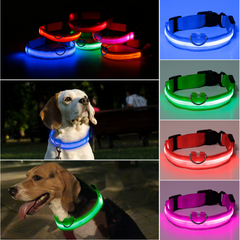 COLLAR CON LUZ LED ( SOLO EN TALLE L )