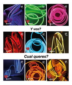 Imagen de Luz Neon 5 Mts CON Fuente