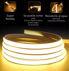 Luz Neon 5 Mts CON Fuente - tienda online