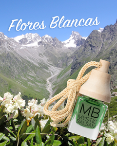 AROMATIZANTE DE AUTOS MB en internet