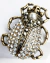 brinco besouro dourado cravejado strass nicoleta