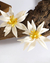Brinco em forma de flor feito de resina branca com cristais amarelos, posicionado sobre uma superfície de madeira.