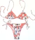 Biquini Whitehaven Beach Detalhe em Lástex C/ Bojo Moda - comprar online