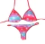 Biquíni Ibiza Listras Degradê - comprar online