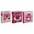 Carpetas MOOVING N°3 anilladas Lotso
