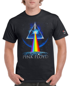 Pink Floyd. Mod 081. Remera de algodón peinado premium!