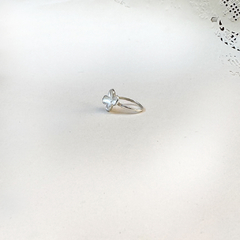 Anillo Fresias - Septiembre Oficial