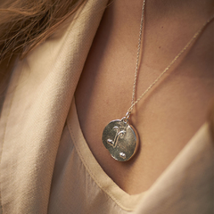 COLLAR ARIES en internet