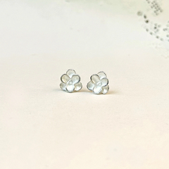 Aros Fresias - tienda online