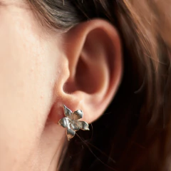 Imagen de Aros Orquídea